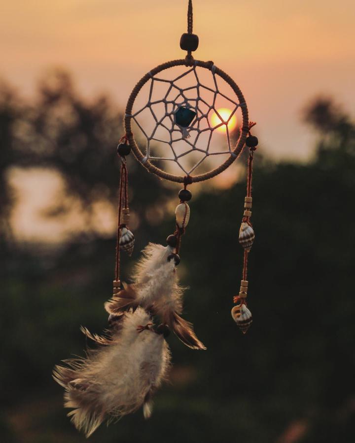 Dreamcatcher House & Hostel At Arambol Beach エクステリア 写真