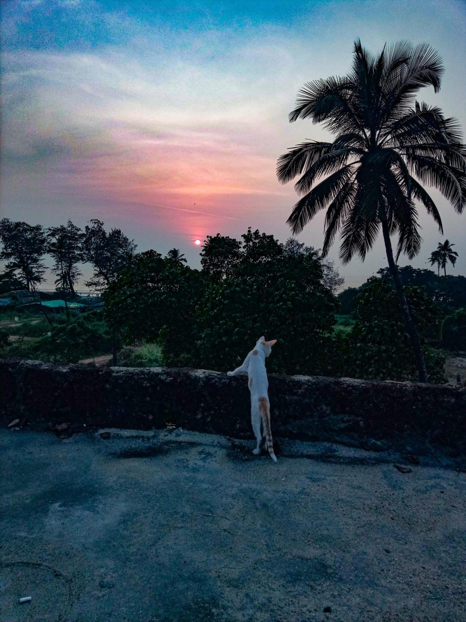 Dreamcatcher House & Hostel At Arambol Beach エクステリア 写真